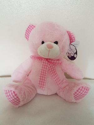 Small Pink Teddy